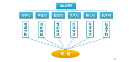 專業(yè)測試與軟件外包 雙輪驅(qū)動，賦能企業(yè)數(shù)字化轉(zhuǎn)型